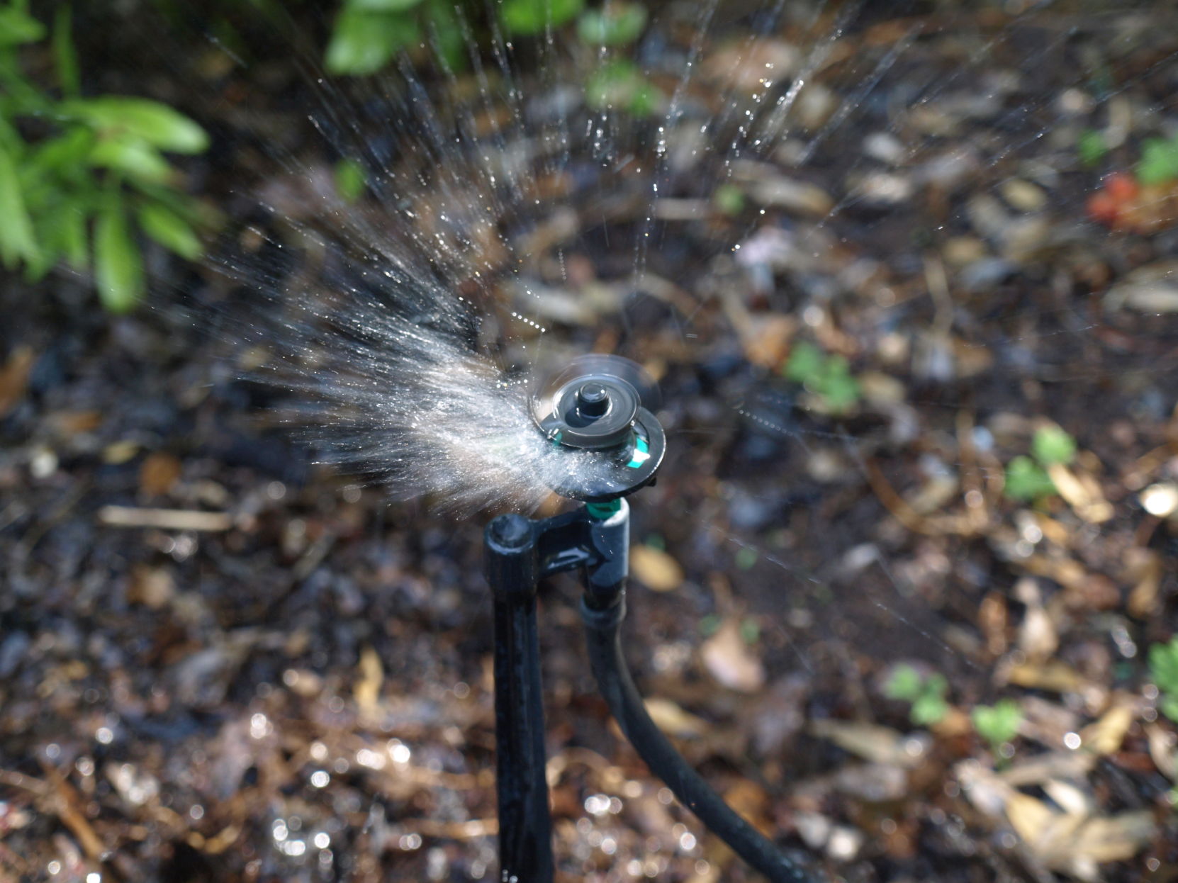 Sprinklers 05/06/18
